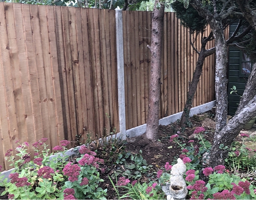 Boundary fencing for a private garden.