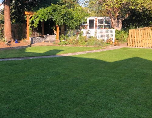 Fully turfed back garden lawn.